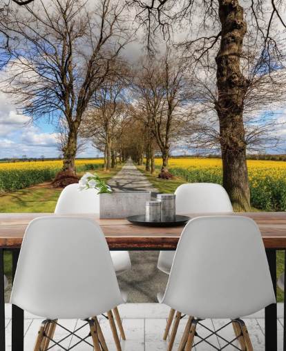 Rapeseed Drive Wall Mural Rapeseed Drive Wall Mural