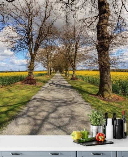 Muurschildering van Rapeseed Drive Muurschildering van Rapeseed Drive