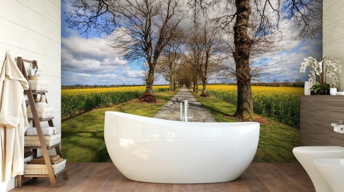 Rapeseed Drive Landscape Wallpaper