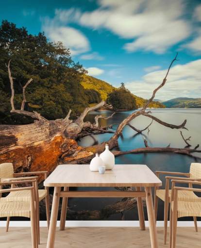 Fallen Tree Lake Windermere Wall Mural Fallen Tree Lake Windermere Wall Mural