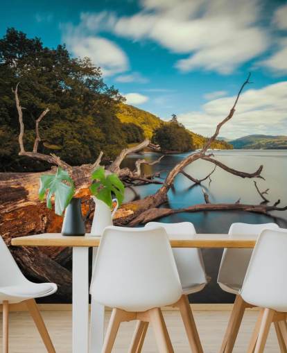 Fallen Tree Lake Windermere Wall Mural Fallen Tree Lake Windermere Wall Mural