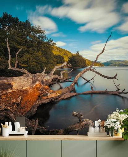 Fallen Tree Lake Windermere Wall Mural Fallen Tree Lake Windermere Wall Mural