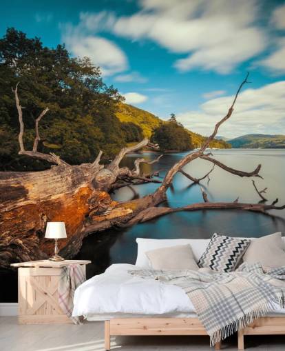 Fallen Tree Lake Windermere Wall Mural Fallen Tree Lake Windermere Wall Mural