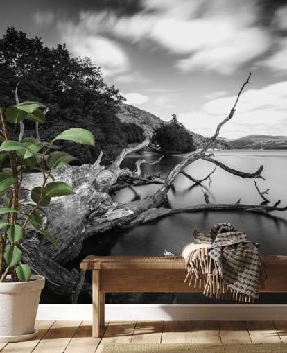 Black and White Lake View Wall Mural Black and White Lake View Wall Mural