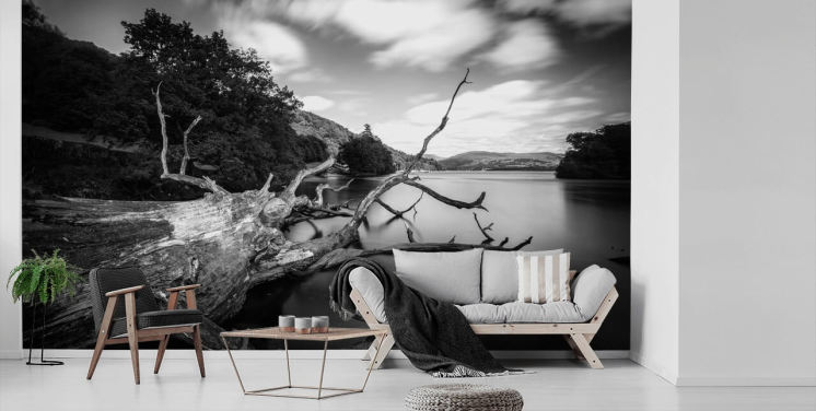 Décoration murale avec vue sur le lac, noir et blanc