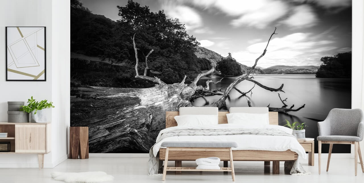 Mural preto e branco com vista para o lago