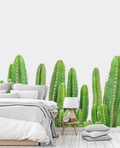 groene cactussen op wit achtergrondbehang groene cactussen op wit achtergrondbehang