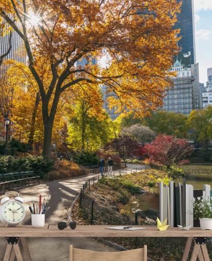 Stien gjennom Central Park i høst tapet Stien gjennom Central Park i høst tapet
