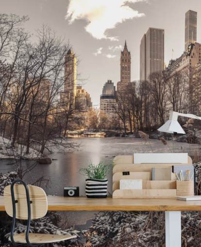 Amanhecer de inverno no mural de parede do Central Park Amanhecer de inverno no mural de parede do Central Park