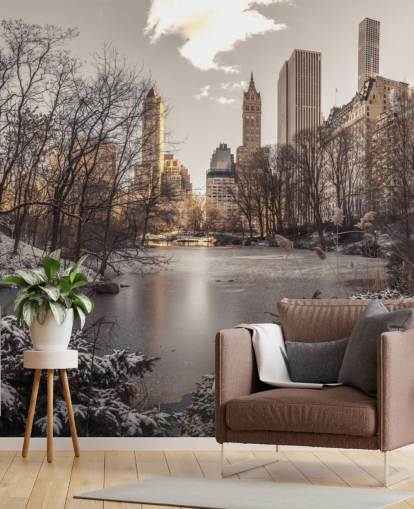 Winter Dawn in Central Park Wall Mural Winter Dawn in Central Park Wall Mural