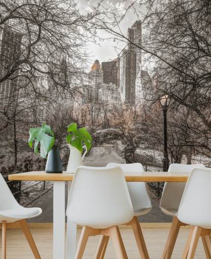 Central Park Winter Walk Wallpaper Mural Central Park Winter Walk Wallpaper Mural