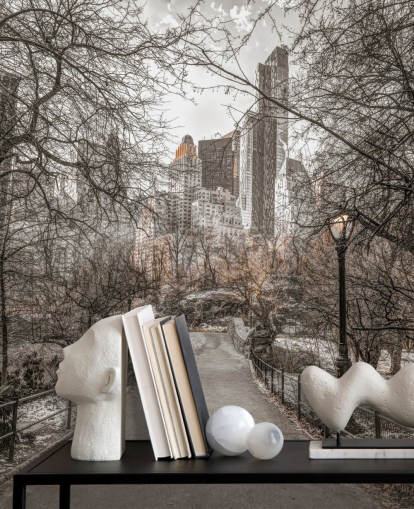 Central Park Winter Walk Wallpaper Mural Central Park Winter Walk Wallpaper Mural