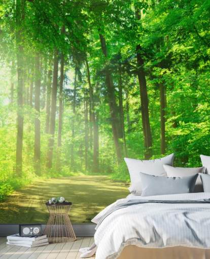 papier peint mural vert personnalisable en forme de forêt appelé Forest Path in Sunshine papier peint mural vert personnalisable en forme de forêt appelé Forest Path in Sunshine