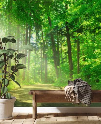 mural de papel de parede florestal personalizável verde chamado Forest Path in Sunshine mural de papel de parede florestal personalizável verde chamado Forest Path in Sunshine