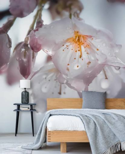 Regndråber på Blossom vægmaleri Regndråber på Blossom vægmaleri