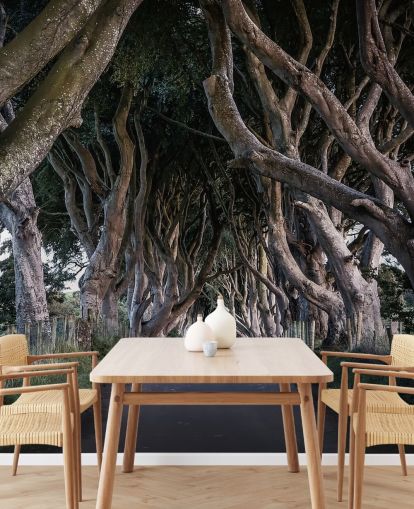 Carta da parati The Dark Hedges of County Antrim Carta da parati The Dark Hedges of County Antrim