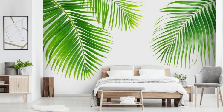 light green palm leaves wallpaper