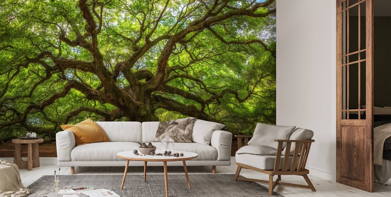 Angel Oak Tree Taustakuva Seinämaalaus | Wallsauce FI