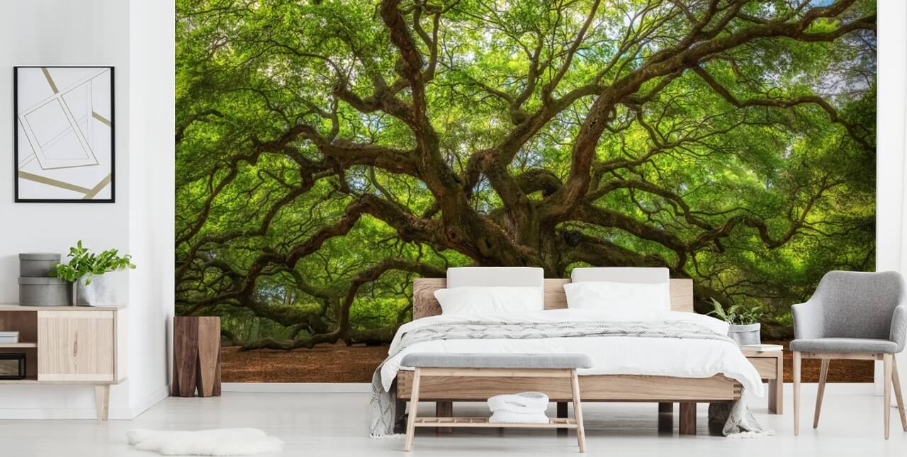 brunt og grønt træ tapet vægmaleri kaldet Angel Oak Tree til soveværelser, kontorer og virksomheder