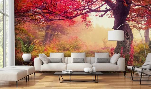 Forest Wallpaper & Tree Wall Murals | Wallsauce US