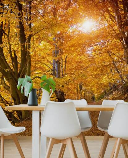Herfstbladeren op bomen Herfstbladeren op bomen
