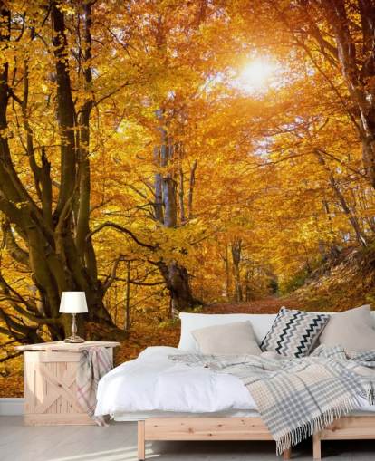 Autumn Leaves on Trees Autumn Leaves on Trees