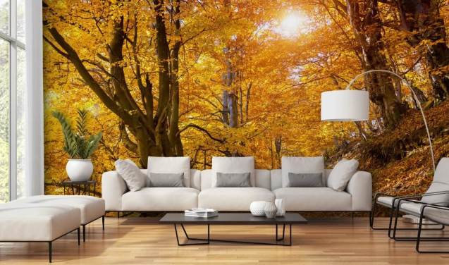 Forest Wallpaper & Tree Wallpaper Murals | Wallsauce US