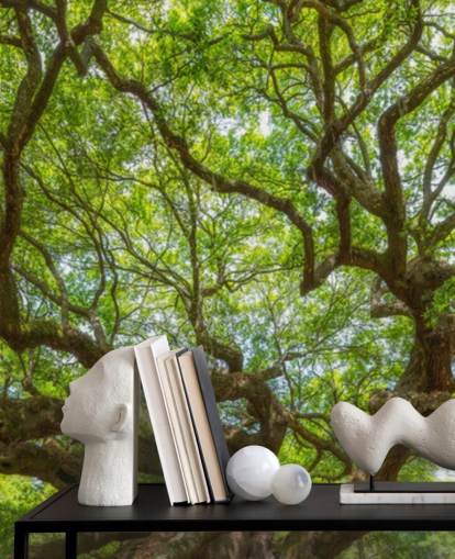 Angel Oak Tree Panoramic Wallpaper Mural Angel Oak Tree Panoramic Wallpaper Mural