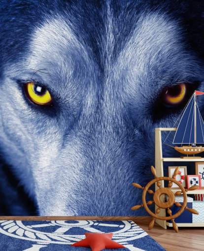 Lähikuva Wolfs Kasvot Keltaiset silmät ja sininen turkis taustakuva Lähikuva Wolfs Kasvot Keltaiset silmät ja sininen turkis taustakuva