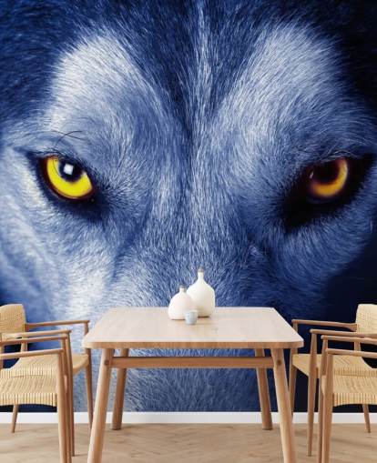 Nära upp av Wolfs ansikte gula ögon och blå päls Bakgrund Nära upp av Wolfs ansikte gula ögon och blå päls Bakgrund