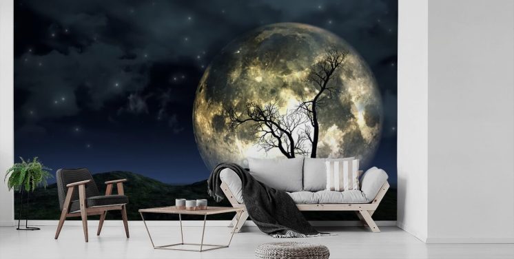 Glødende Moon Bak Tre Bakgrunn