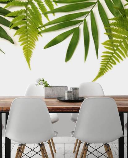 tropical green leaves on white background wall mural tropical green leaves on white background wall mural