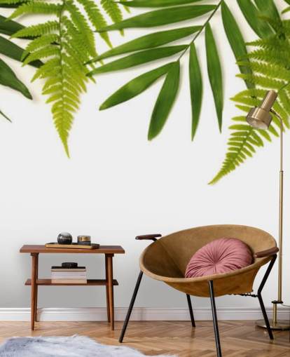 tropical green leaves on white background wall mural tropical green leaves on white background wall mural