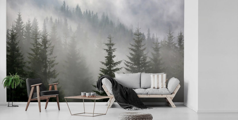 Forest Wallpaper & Tree Wall Murals | Wallsauce US