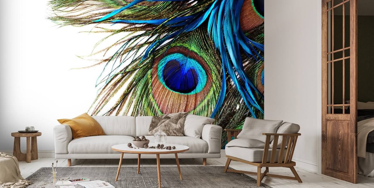 Peacock Feathers Wall Paper Mural | Buy at EuroPosters