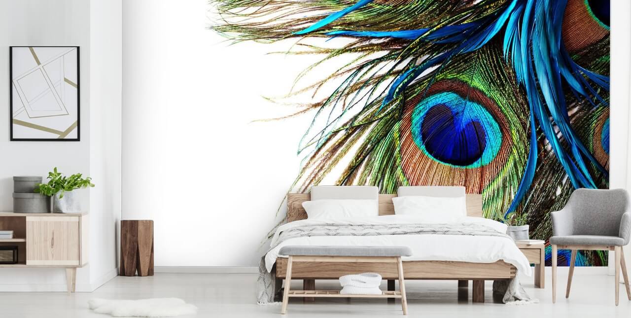 blauwe, groene en witte op maat gemaakte pauwbehangmuurschildering genaamd Large Peacock Feathers voor slaapkamers