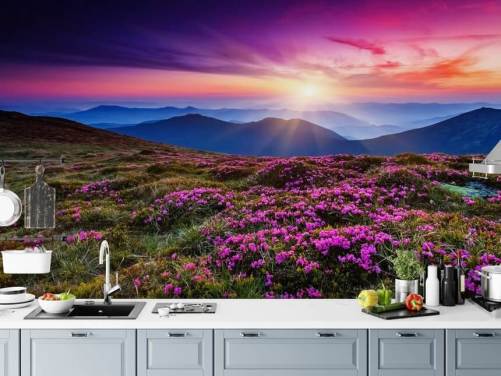 Papel de parede Purple World