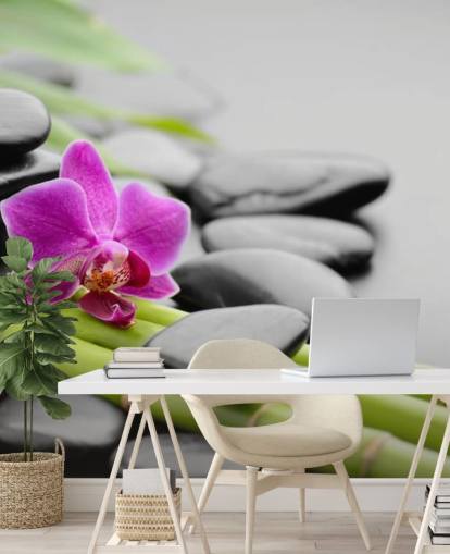 Pink Orkidé, bambu och småsten Bakgrund Pink Orkidé, bambu och småsten Bakgrund