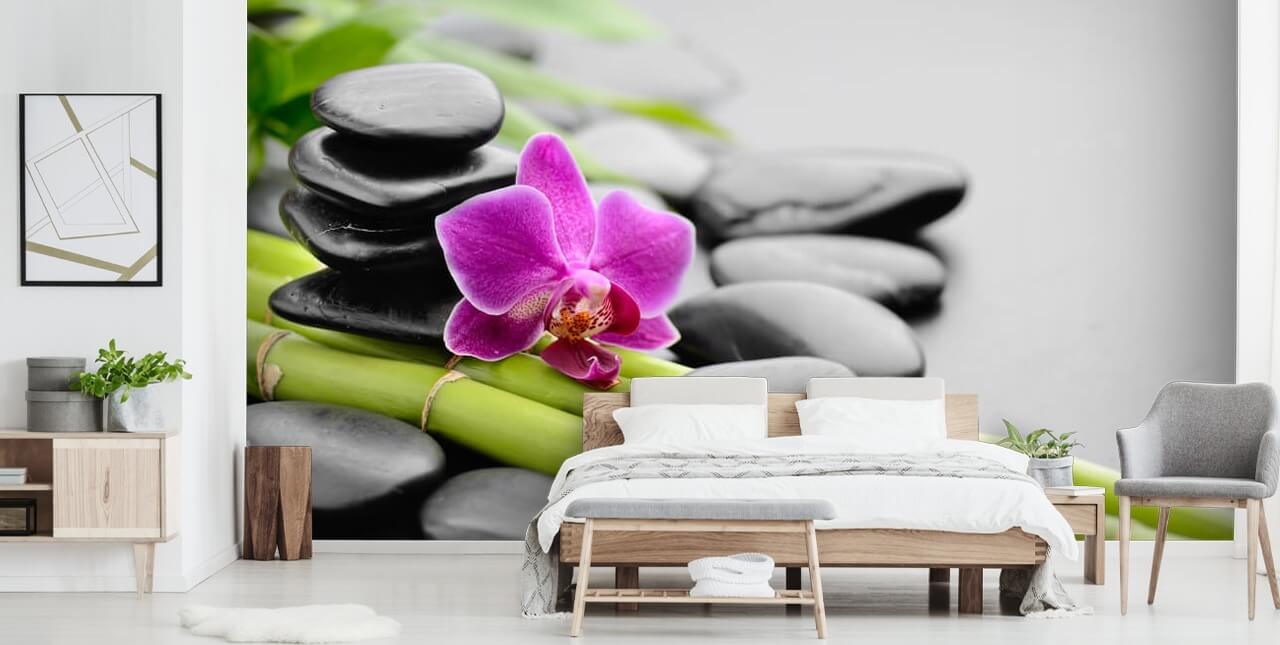 Papel de parede de orquídea rosa, bambu e seixos