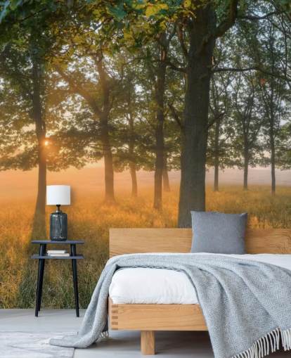 Trær og Sunrise Bakgrunn Trær og Sunrise Bakgrunn