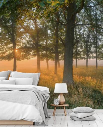 Puut ja Sunrise Taustakuva Puut ja Sunrise Taustakuva