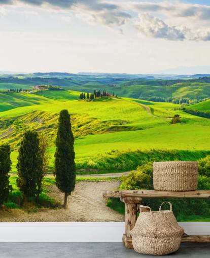 Tuscan Fields Italy Wall Mural Tuscan Fields Italy Wall Mural