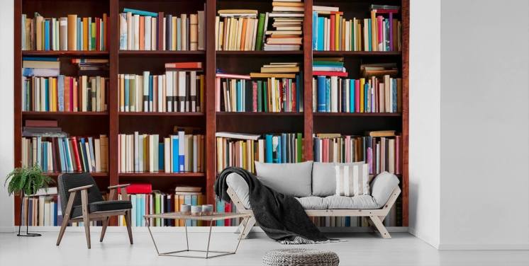 Bookcase Wallpaper & Bookshelf Wall Murals | Wallsauce UK