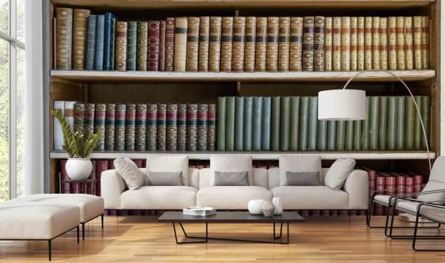 Bookcase Wallpaper & Wall Murals | Wallsauce UK