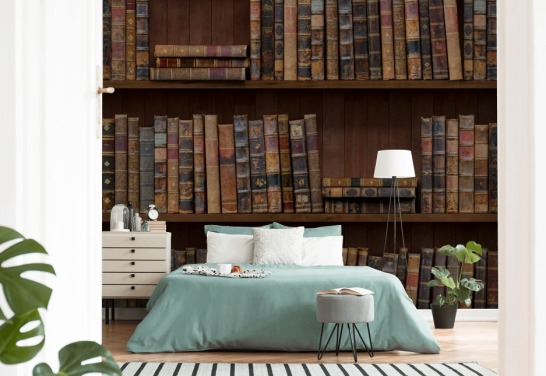 Papel pintado Libros antiguos sobre estantes