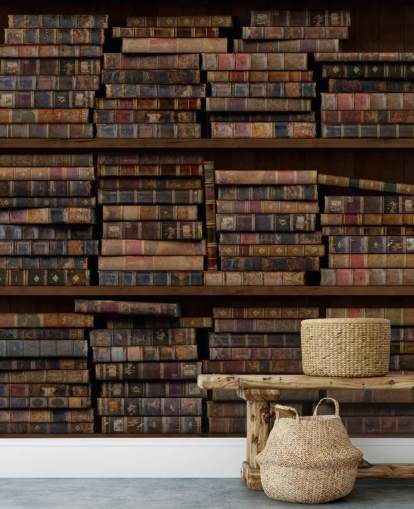 Decorazione murale con libri polverosi sugli scaffali Decorazione murale con libri polverosi sugli scaffali