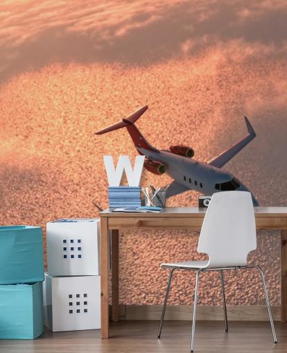 Papier Peint Fresque Avion Sur Le Coucher Papier Peint Fresque Avion Sur Le Coucher