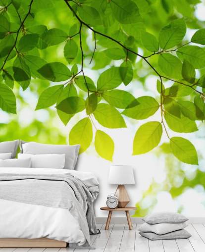 Green Leaves Wallpaper Green Leaves Wallpaper