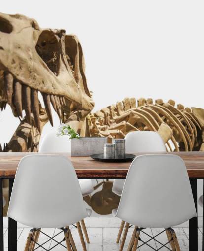 T Rex Skelett Bakgrund T Rex Skelett Bakgrund