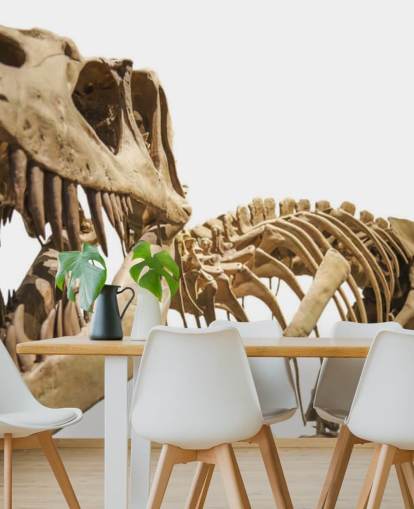 T Rex Skeleton Wallpaper T Rex Skeleton Wallpaper